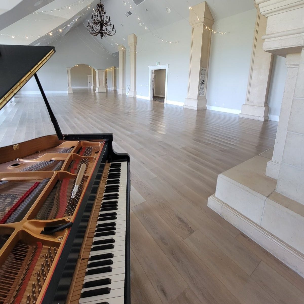 inside a grand piano